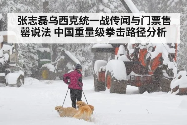 张志磊乌西克统一战传闻与门票售罄说法 中国重量级拳击路径分析